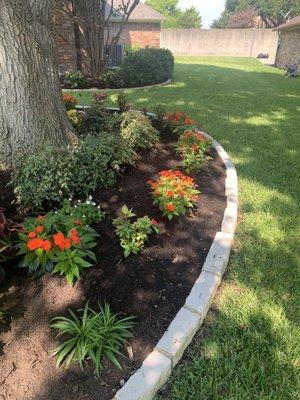 Complete Landscape and Design