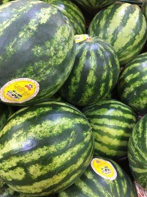 "Personal" watermelons!