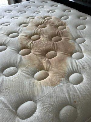 Guest bedroom mattress