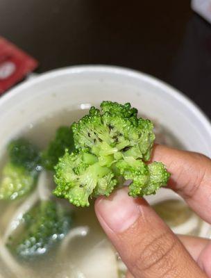 Beef Noodle Soup