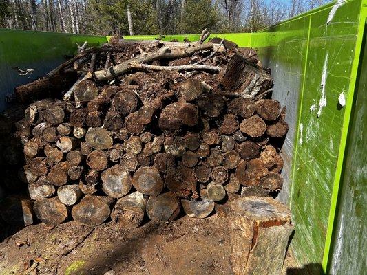 12-yard dumpster was the perfect answer for yard waste