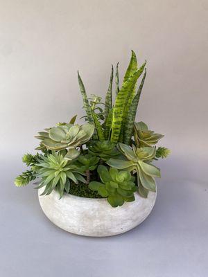 Mother in law tongue and mixed succulents in a white washed concrete bowl.