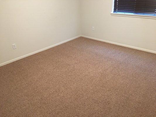 Guest bedroom carpet. Looks brand new!