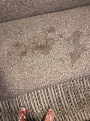 Couch stains