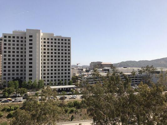 Lovely view overlooking downtown Glendale from Shushan's office