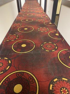 Hallway carpet.