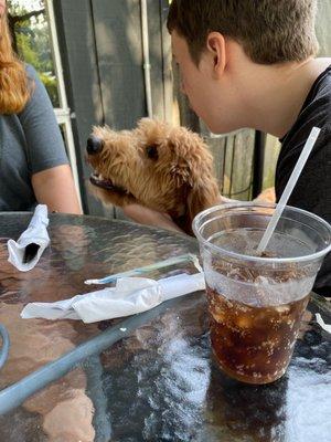 Great dog friendly restaurant right next to a national park and museum.