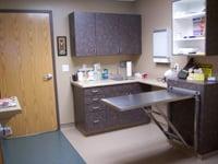 Exam room. Photo by Bright Eyes & Bushy Tails Vet Hospital.