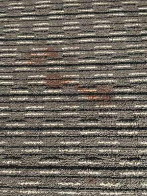 Red stain on carpet near bed. Use your imagination