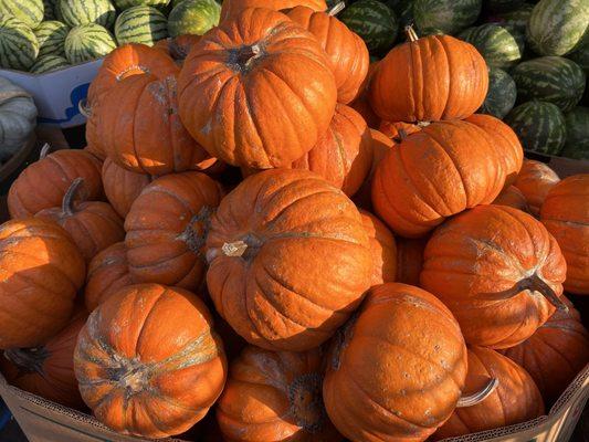 Steele Canyon Produce