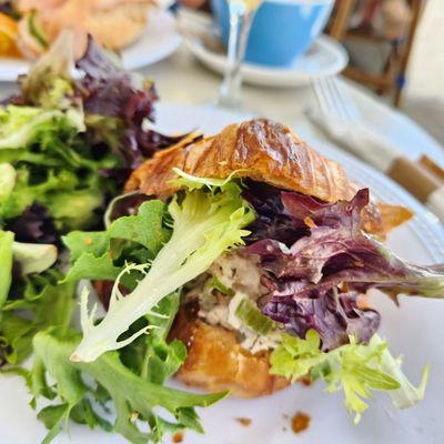 Chicken salad with cranberries on a croissant