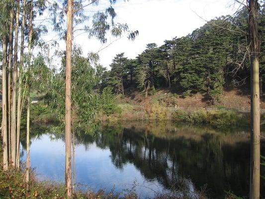 Laguna Honda Reservoir