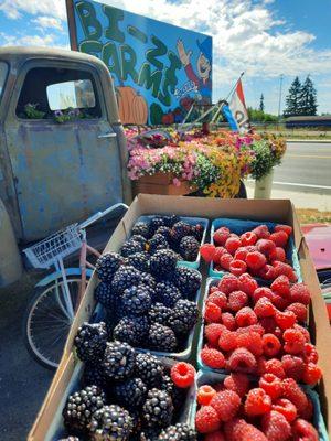 Fresh berries!