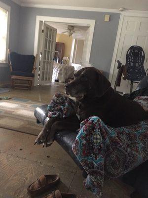 Emmie on recliner with her dad.