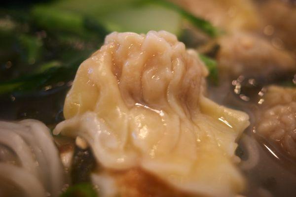 Wonton close-up