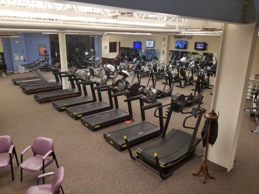 Cardio Equipment