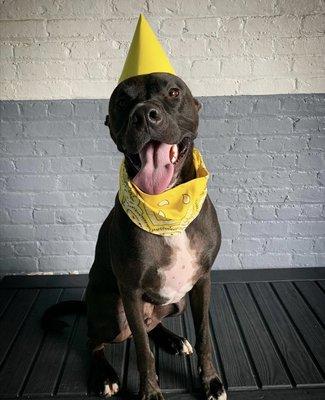 Birthday photo shoot