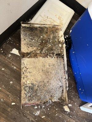 drywall fell out due to water leak and mold