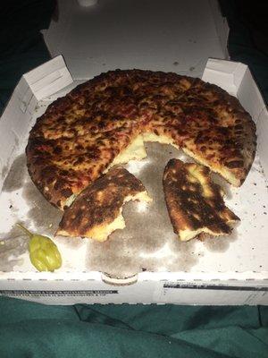 They had the audacity to send this burnt pizza!