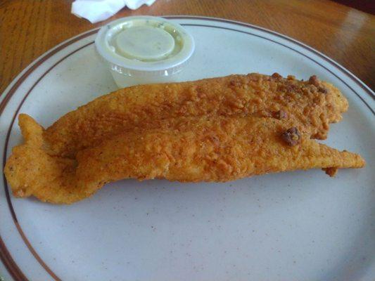 Side of catfish- only $5 at breakfast.