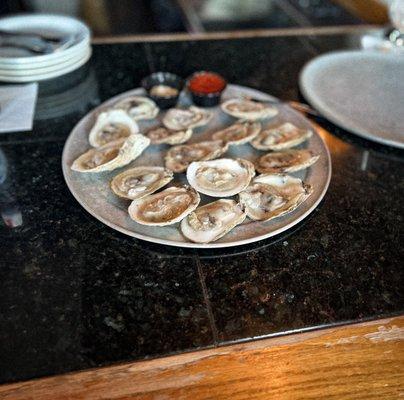 Fresh Oysters