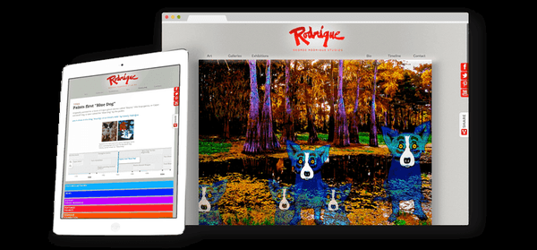 We had the privilege of working with George Rodrigue & his team to develop a new online selling and educating environment - called a website