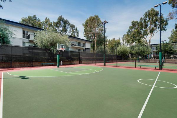 Avondale at Warner Center - Basketball Court