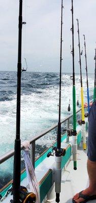 Bunny Clark Deep Sea Fishing