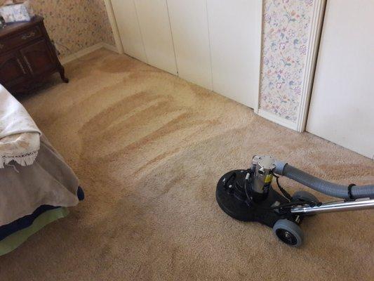 Look at that carpet restoration with "total rotary extraction!" We can clean the dirtiest carpets and make them look brand-new!