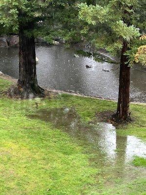 Constant flooding right outside of my townhome.