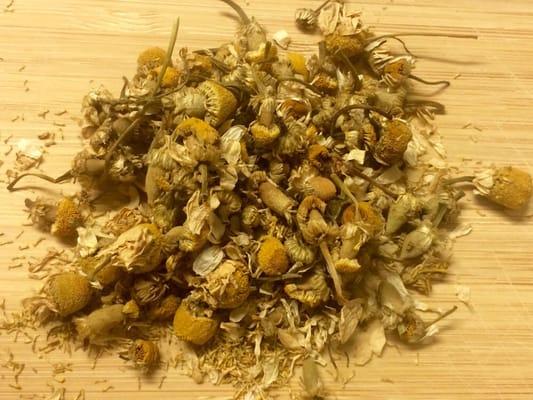 Egyptian Chamomile