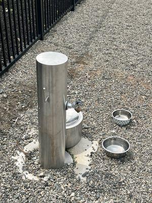 Still new looking water fountains inside large dog play area