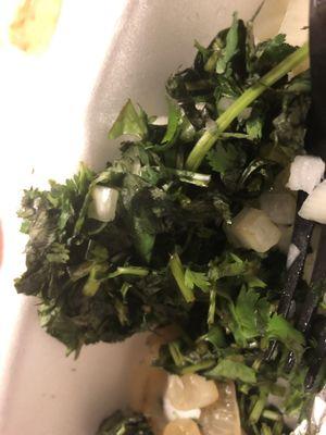 Wilted and black cilantro served as a side with the Tacos I ordered. Never again will I eat there!