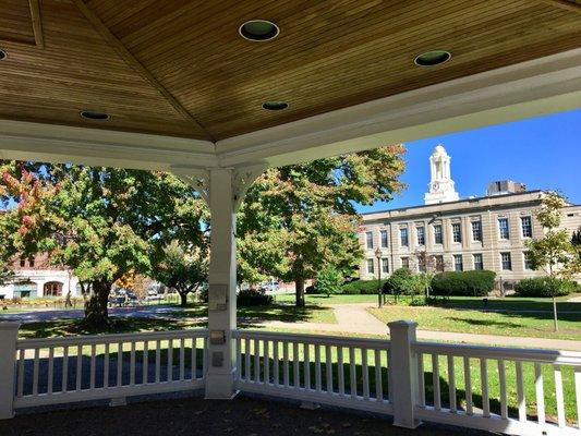 Inside the gazebo looking out