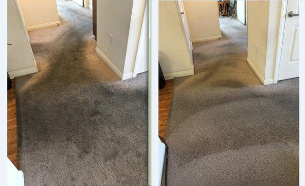 PQ Carpet Cleaning - Carmel Valley San Diego Carpet Cleaning