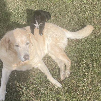 13 year old Marlee and 3 month old Emma.