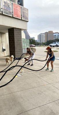 Battle ropes are a BAM Fam fav.