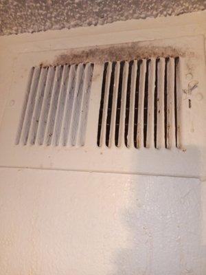 Mold coming out of the living room vent, been here since oct or nov of 2022. Told to use some bleach...what about the insides?