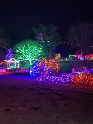 Garden of lights