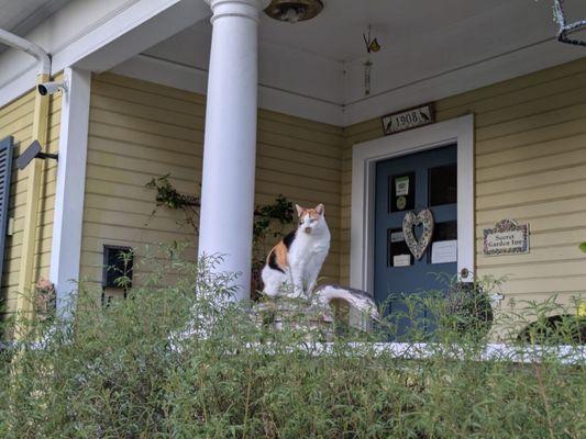 Front desk/main building, and peanut.