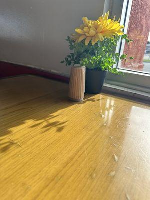 Cute flowers on peeling tabletop. Cute or caution?