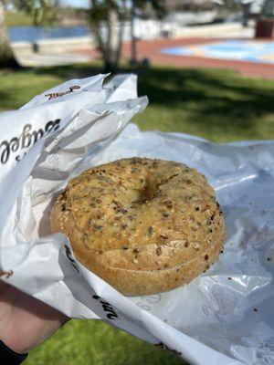 Asiago Everything Bagel