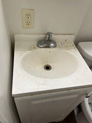 Bathroom cleaning Before picture of sink