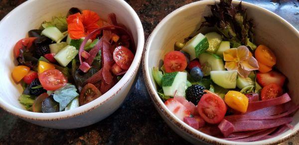 Summer berry salads with cucumbers all picked ourselves from Samascott Orchards