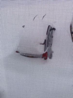 Snowstorm issues... Luckily it wasn't my car.