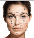 The Bellanina Facelift Massage is based in Oriental Medicine. This photo illustrates the acupuncture points we use in the treatment.