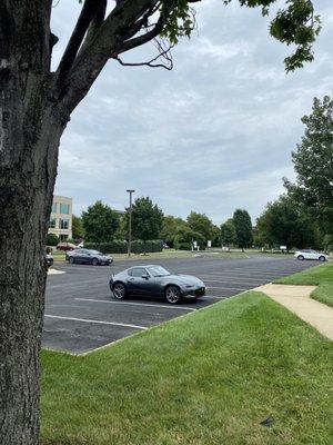 Dent Kings performed a beautiful repair on my Miata!