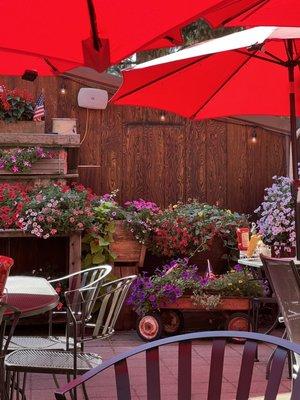 Flowers on the patio