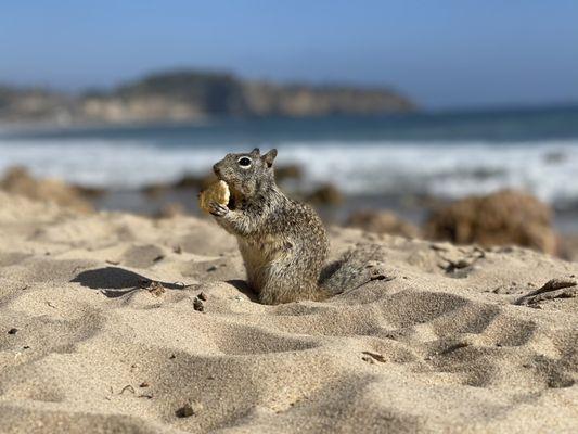 Crystal Cove State Park