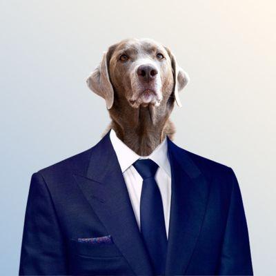 Bentley Kakacek, Chief Morale Officer